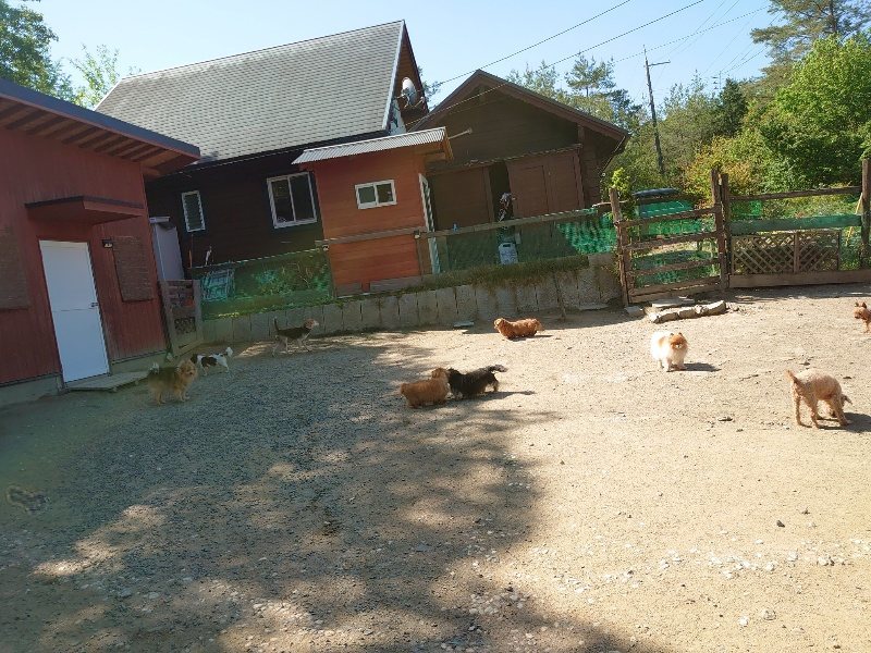 f：id：roukenhome-ann：20200515053049j：plain
