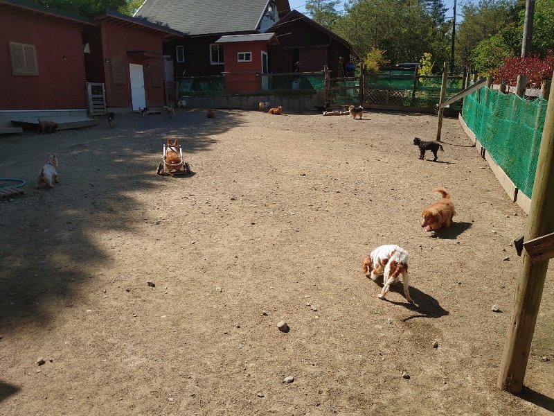 f：id：roukenhome-ann：20200515053211j：plain