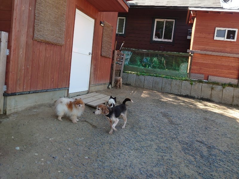 f：id：roukenhome-ann：20200515053339j：plain