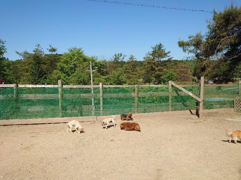f：id：roukenhome-ann：20200515053427j：plain