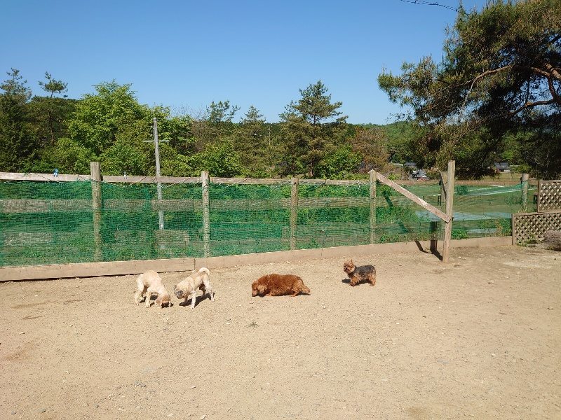 f：id：roukenhome-ann：20200515053436j：plain