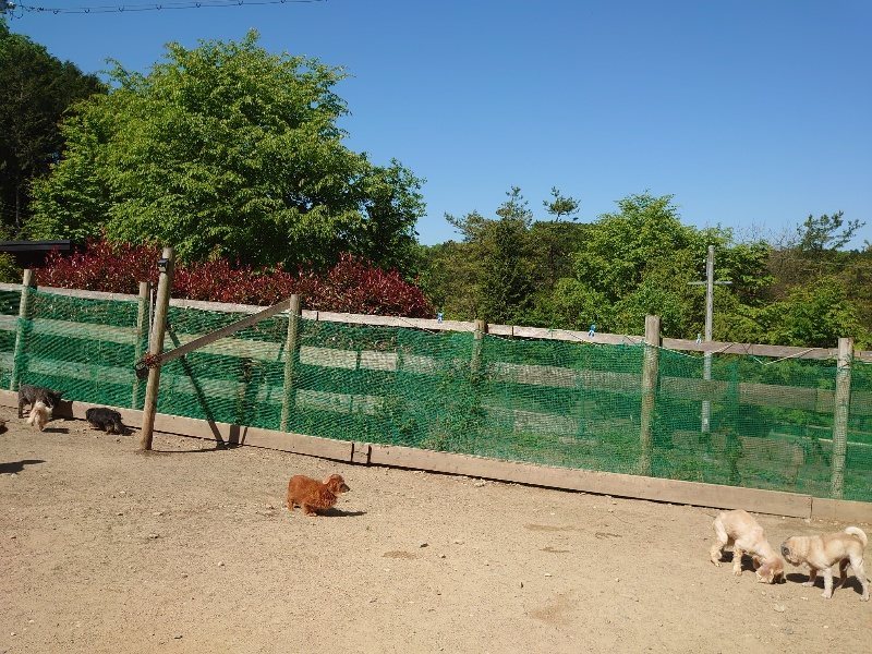 f：id：roukenhome-ann：20200515053446j：plain