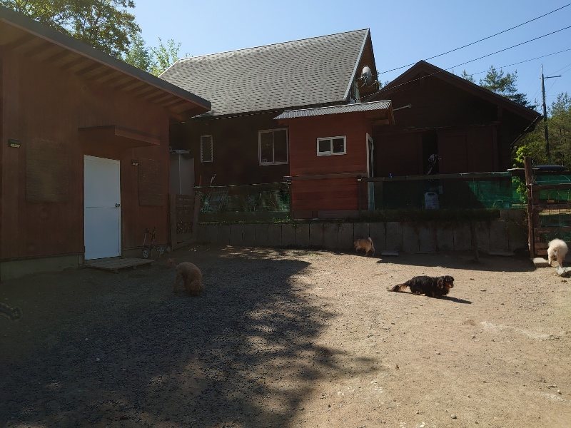 f：id：roukenhome-ann：20200515053501j：plain