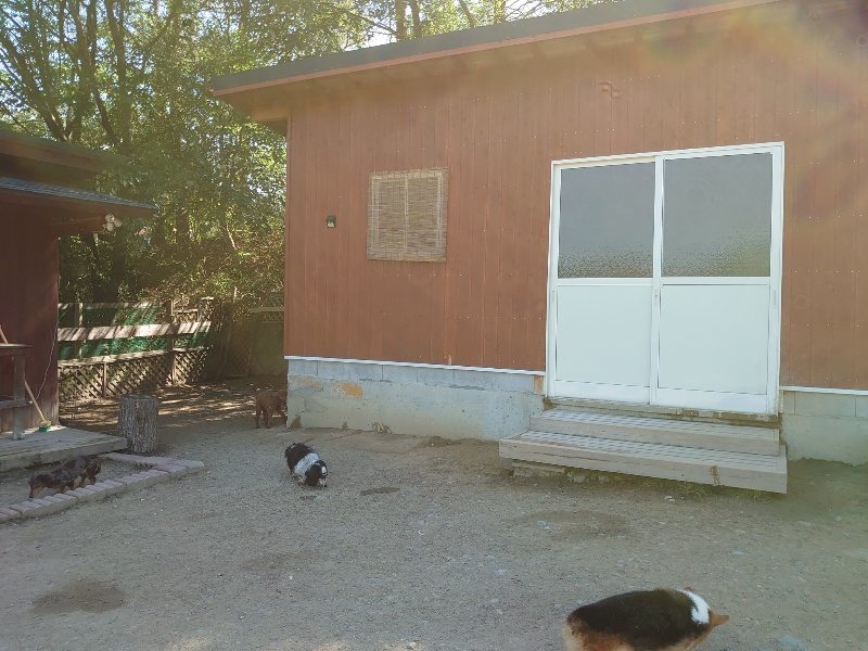 f：id：roukenhome-ann：20200515053505j：plain