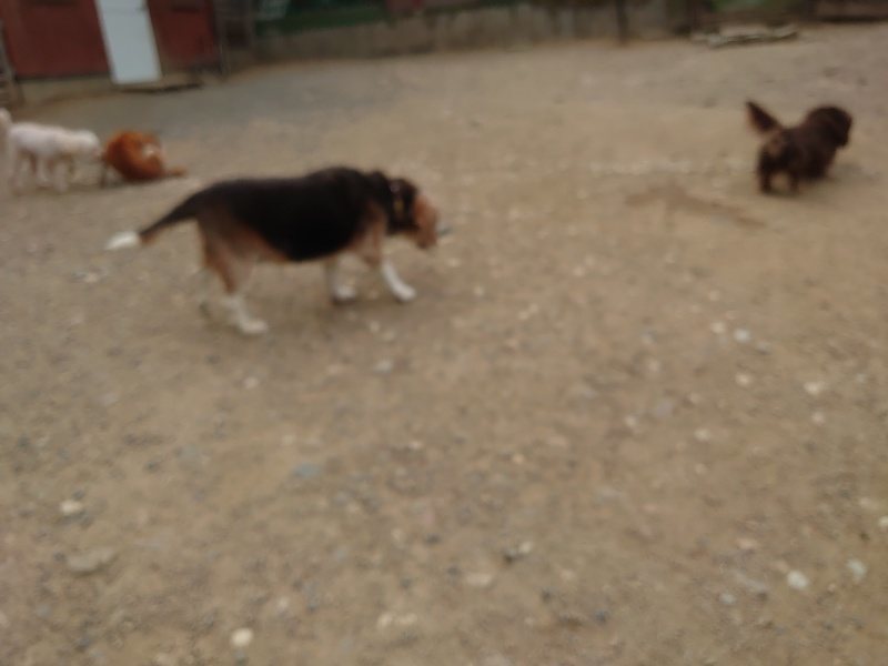 f：id：roukenhome-ann：20200515122333j：plain