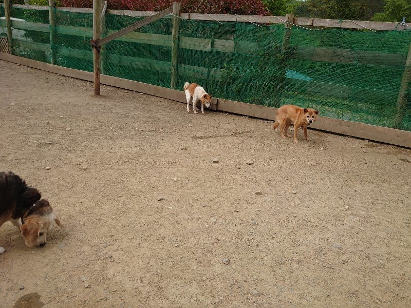 f：id：roukenhome-ann：20200515122431j：plain