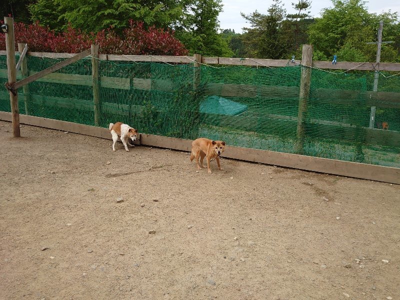 f：id：roukenhome-ann：20200515122442j：plain