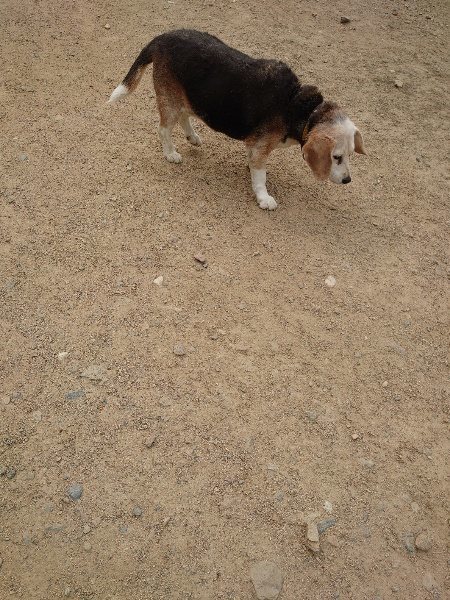 f：id：roukenhome-ann：20200515122500j：plain
