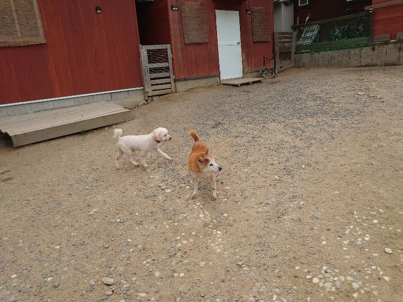 f：id：roukenhome-ann：20200515122618j：plain