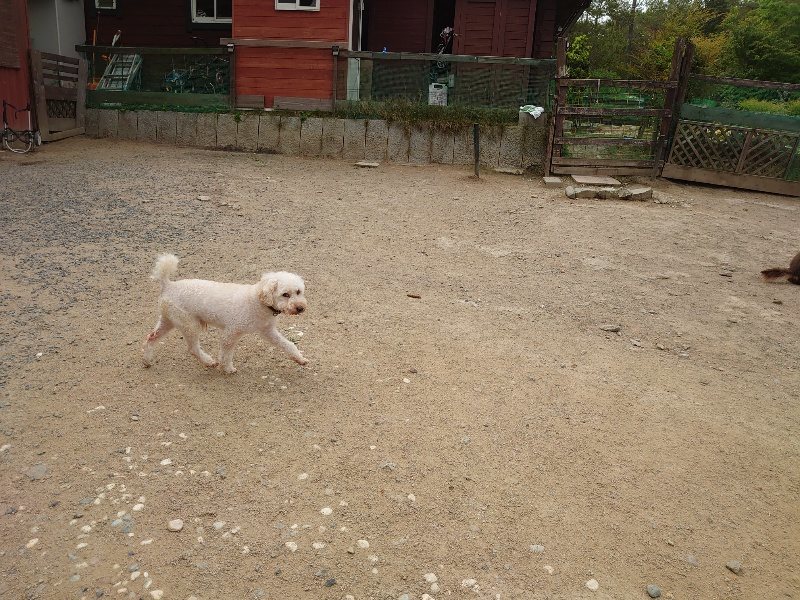 f：id：roukenhome-ann：20200515122635j：plain