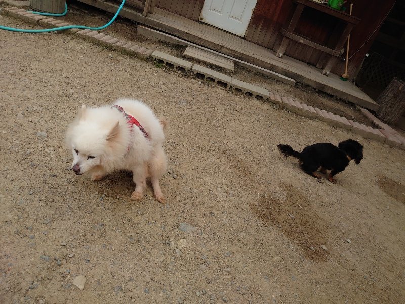 f：id：roukenhome-ann：20200515122739j：plain