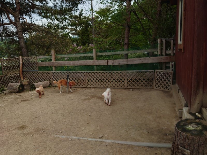 f：id：roukenhome-ann：20200515122854j：plain