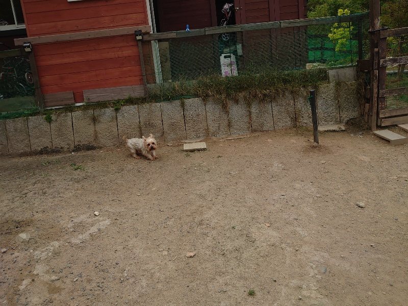 f：id：roukenhome-ann：20200515123526j：plain