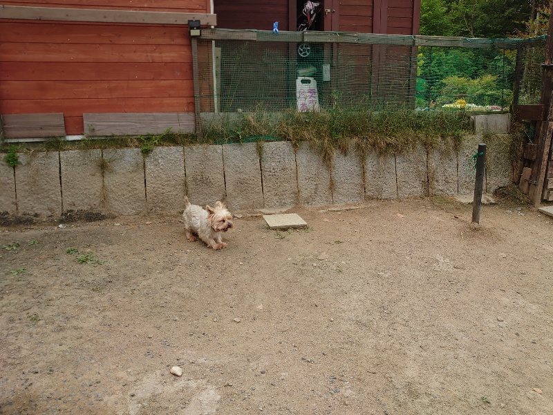 f：id：roukenhome-ann：20200515123538j：plain