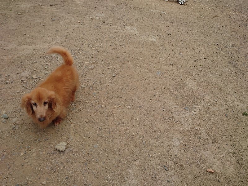 f：id：roukenhome-ann：20200515123653j：plain