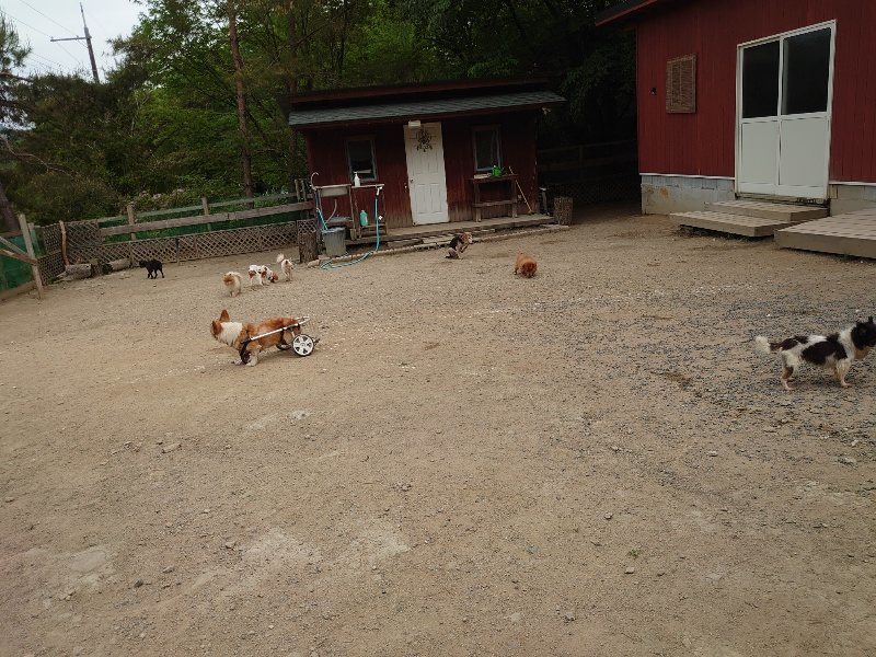 f：id：roukenhome-ann：20200515123658j：plain