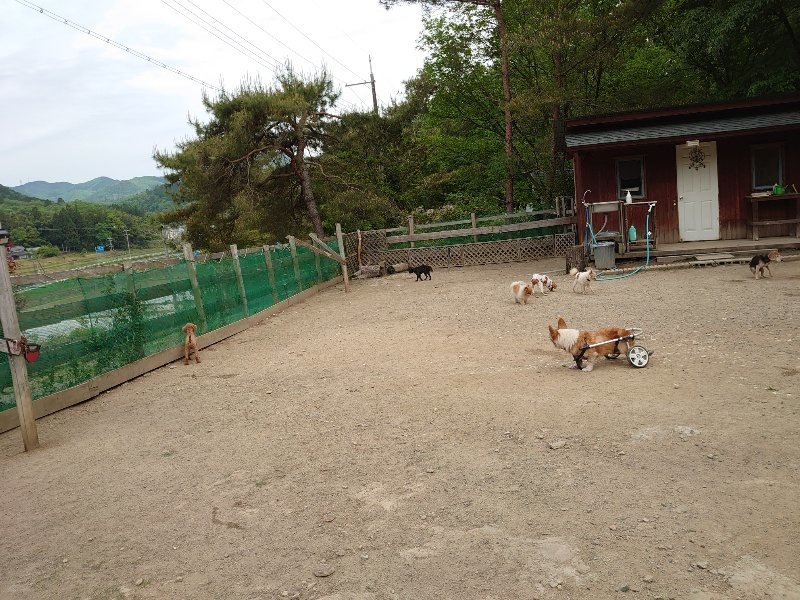 f：id：roukenhome-ann：20200515123710j：plain