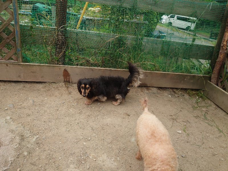 f：id：roukenhome-ann：20200515123754j：plain
