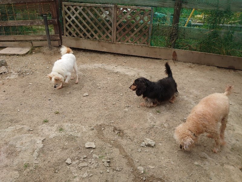 f：id：roukenhome-ann：20200515123856j：plain