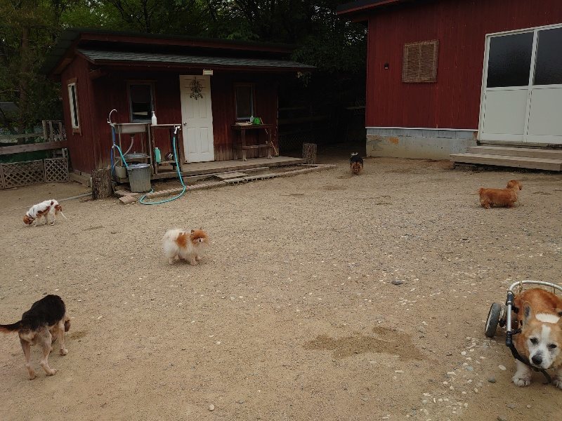 f：id：roukenhome-ann：20200515123901j：plain