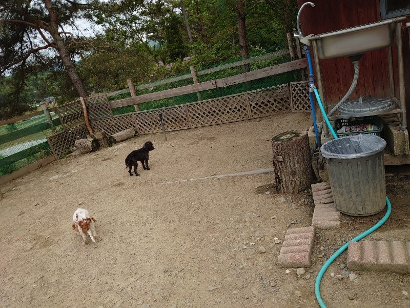 f：id：roukenhome-ann：20200515123942j：plain