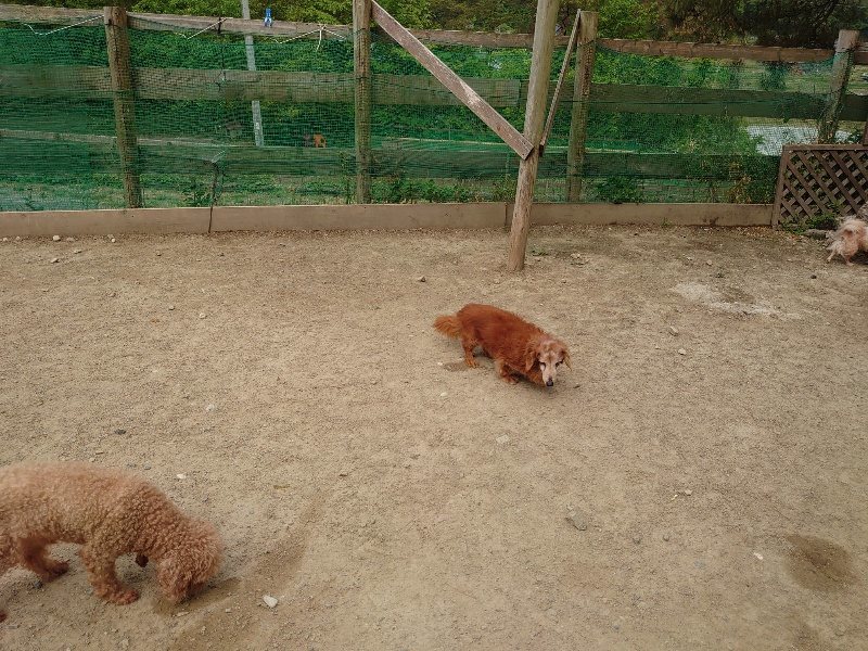f：id：roukenhome-ann：20200515124031j：plain