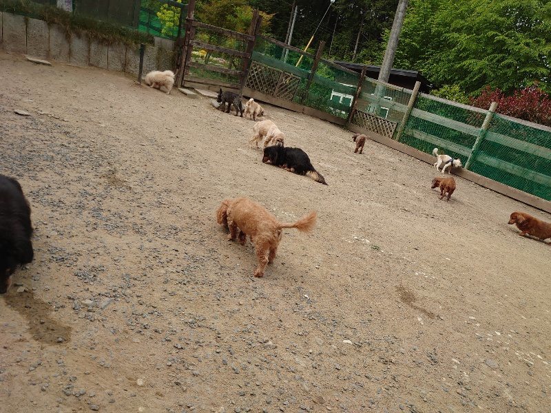 f:id:roukenhome-ann:20200515124756j:plain f:id:roukenhome-ann:20200515124756j:plain