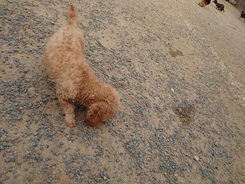 f:id:roukenhome-ann:20200515125000j:plain f:id:roukenhome-ann:20200515125000j:plain