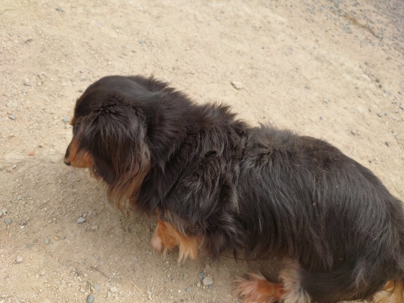 f:id:roukenhome-ann:20200515125143j:plain f:id:roukenhome-ann:20200515125143j:plain