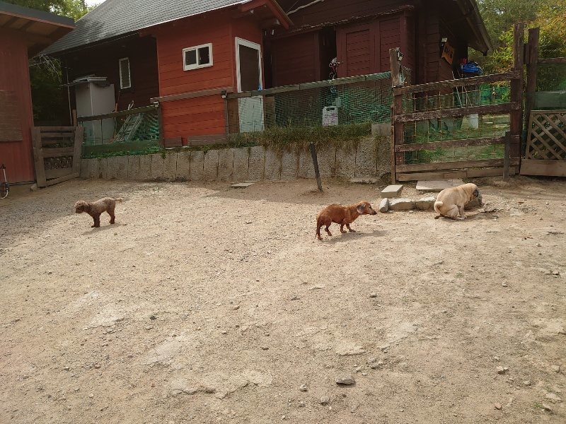 f:id:roukenhome-ann:20200515125243j:plain f:id:roukenhome-ann:20200515125243j:plain