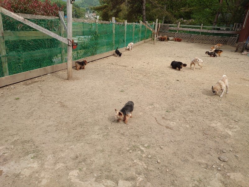 f:id:roukenhome-ann:20200515125350j:plain f:id:roukenhome-ann:20200515125350j:plain