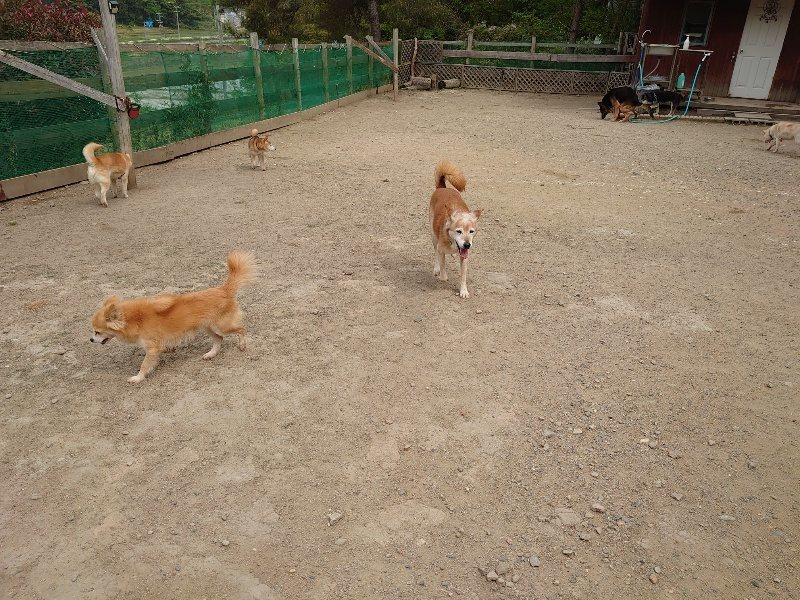 f:id:roukenhome-ann:20200515125509j:plain f:id:roukenhome-ann:20200515125509j:plain