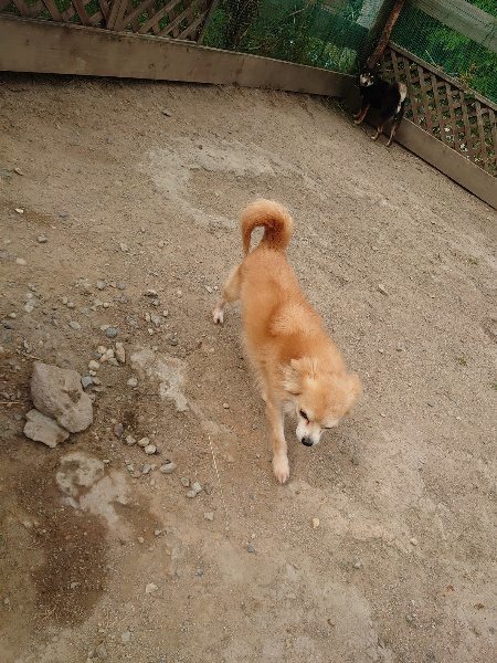 f:id:roukenhome-ann:20200515125622j:plain f:id:roukenhome-ann:20200515125622j:plain