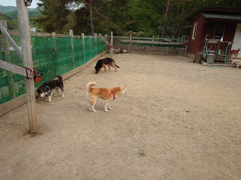 f:id:roukenhome-ann:20200515125804j:plain f:id:roukenhome-ann:20200515125804j:plain