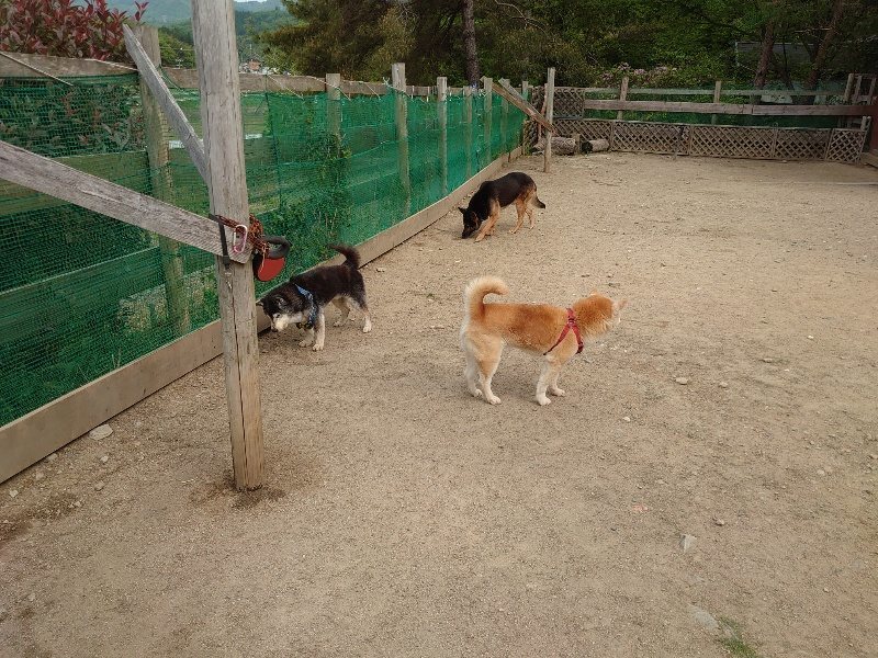 f:id:roukenhome-ann:20200515125810j:plain f:id:roukenhome-ann:20200515125810j:plain