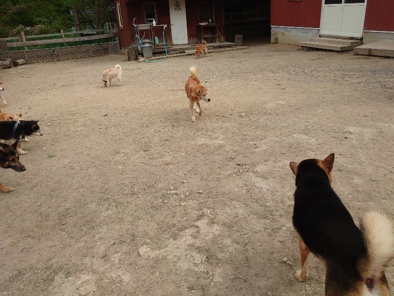 f:id:roukenhome-ann:20200515165724j:plain f:id:roukenhome-ann:20200515165724j:plain