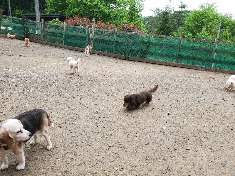 f：id：roukenhome-ann：20200518202519j：plain