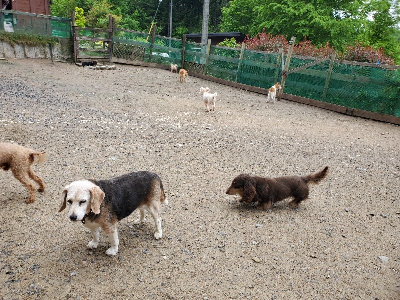 f：id：roukenhome-ann：20200518202530j：plain