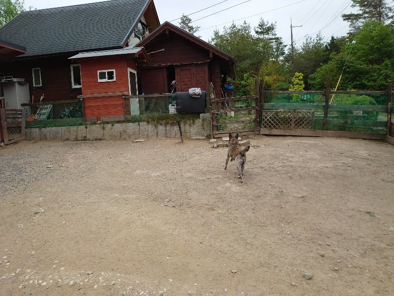 f：id：roukenhome-ann：20200518202728j：plain