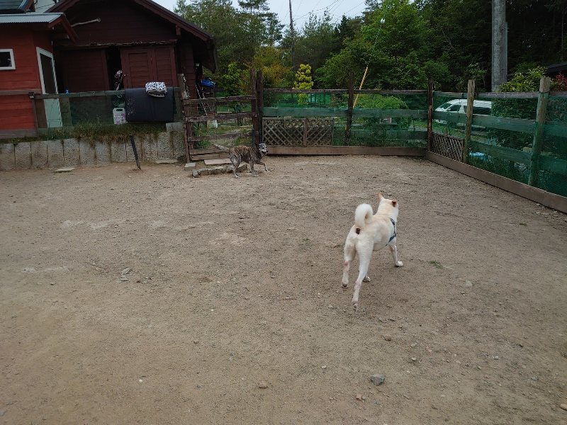 f：id：roukenhome-ann：20200518202813j：plain