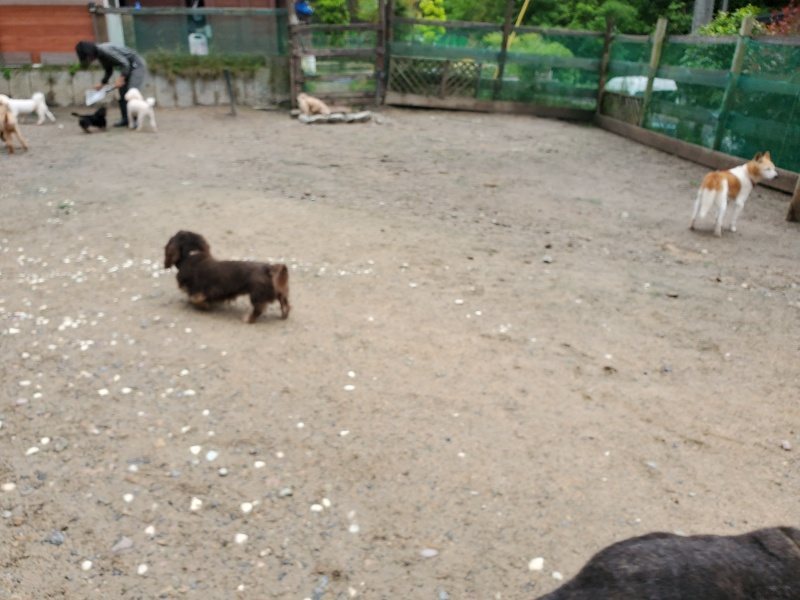 f：id：roukenhome-ann：20200518202817j：plain