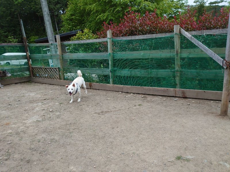 f：id：roukenhome-ann：20200518202824j：plain