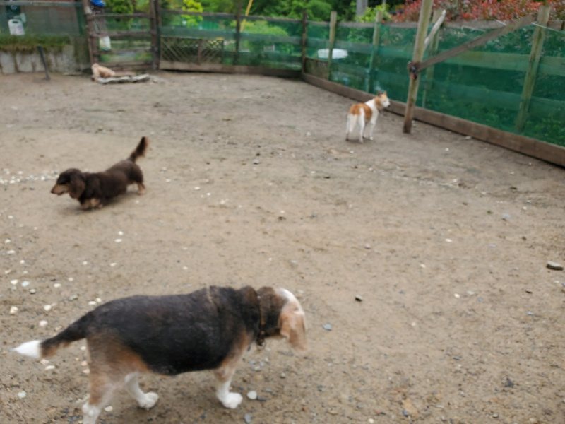 f：id：roukenhome-ann：20200518202835j：plain
