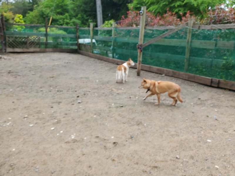 f：id：roukenhome-ann：20200518202840j：plain