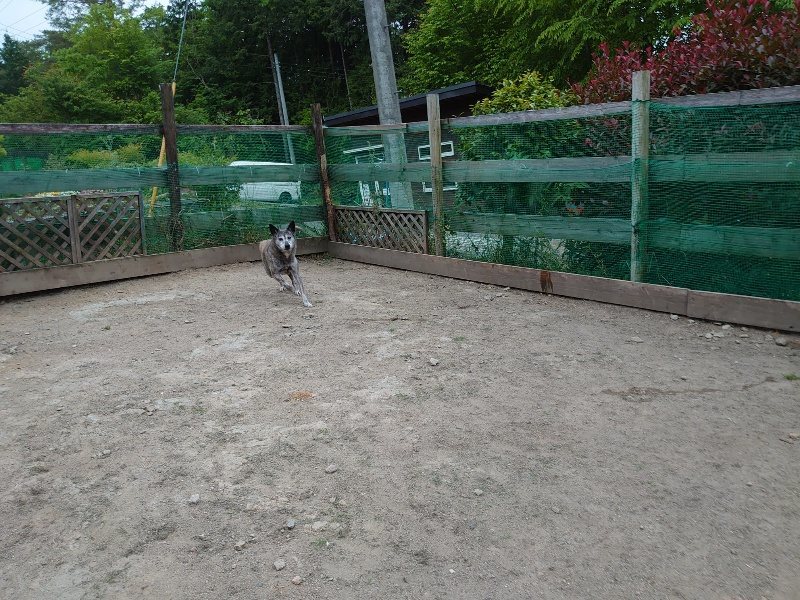 f：id：roukenhome-ann：20200518202846j：plain