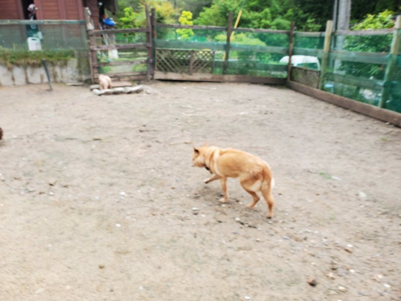 f：id：roukenhome-ann：20200518202902j：plain