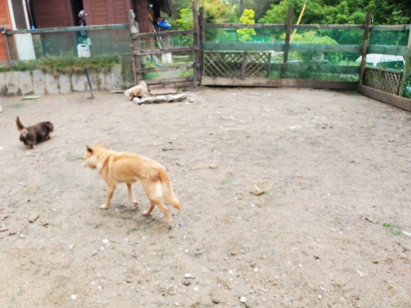 f：id：roukenhome-ann：20200518202920j：plain