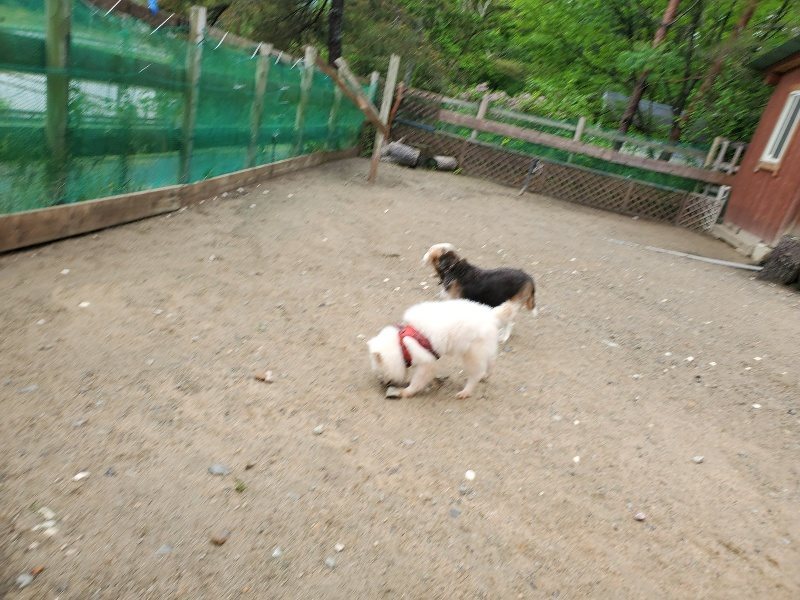 f：id：roukenhome-ann：20200518203157j：plain