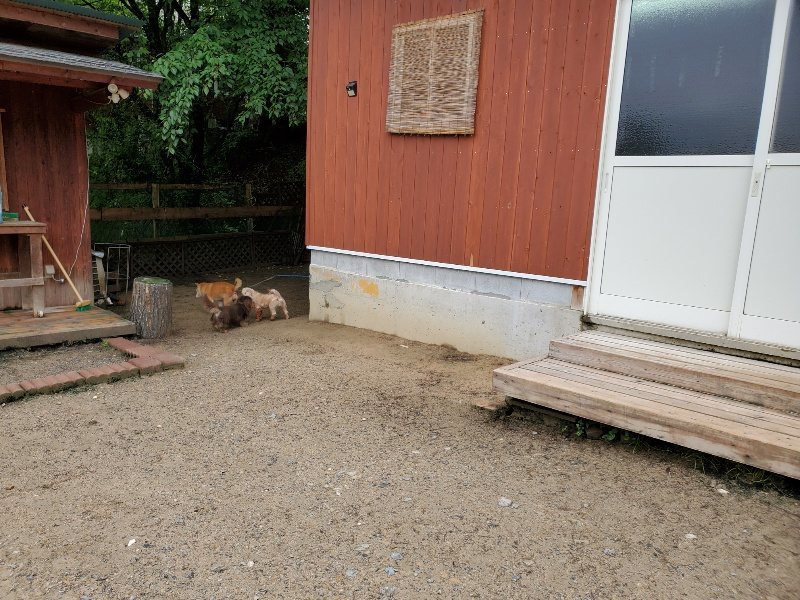 f：id：roukenhome-ann：20200518203330j：plain