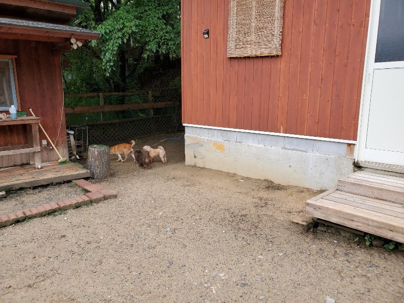 f：id：roukenhome-ann：20200518203350j：plain